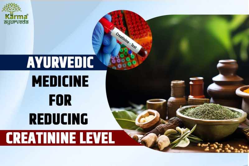Ayurvedic Medicine For Reducing Creatinine Level